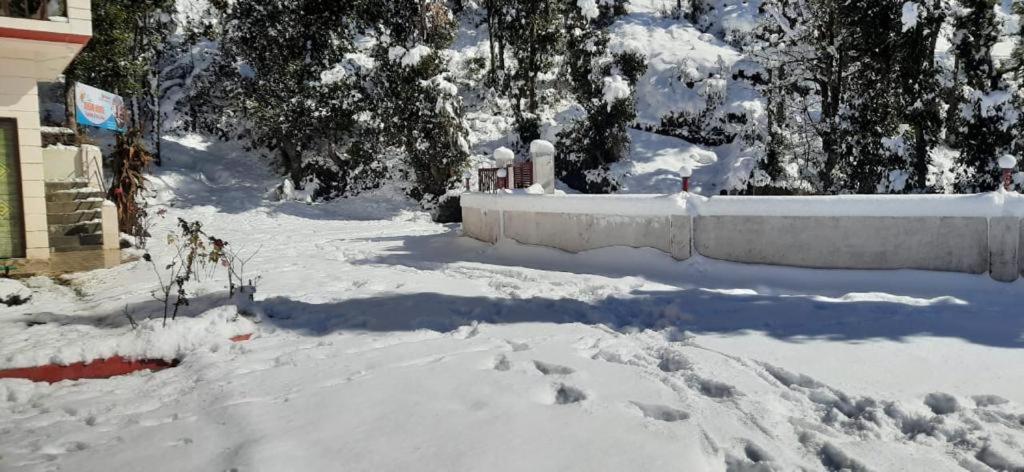 Eco Park in Dhanaulti